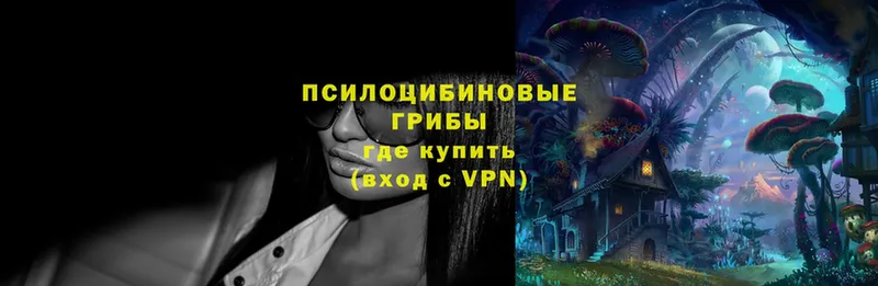 Галлюциногенные грибы Magic Shrooms  Лихославль 